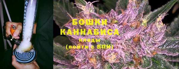 дурь Алзамай